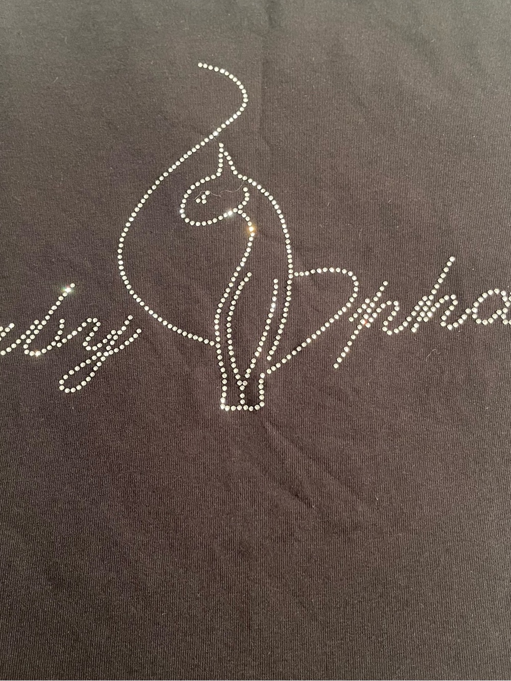 Baby Phat Black Rhinestone Logo Tee Small NWT Flaw